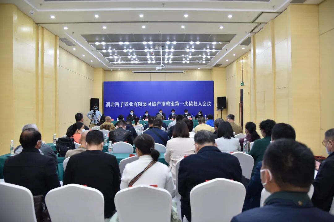 3月11日，湖北西子置业有限公司破产重整案第一次债权人会议.JPG